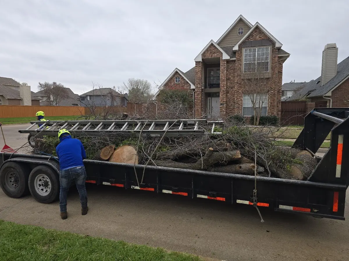 Expert Tree Fertilization with proper safety equipment in Woodson